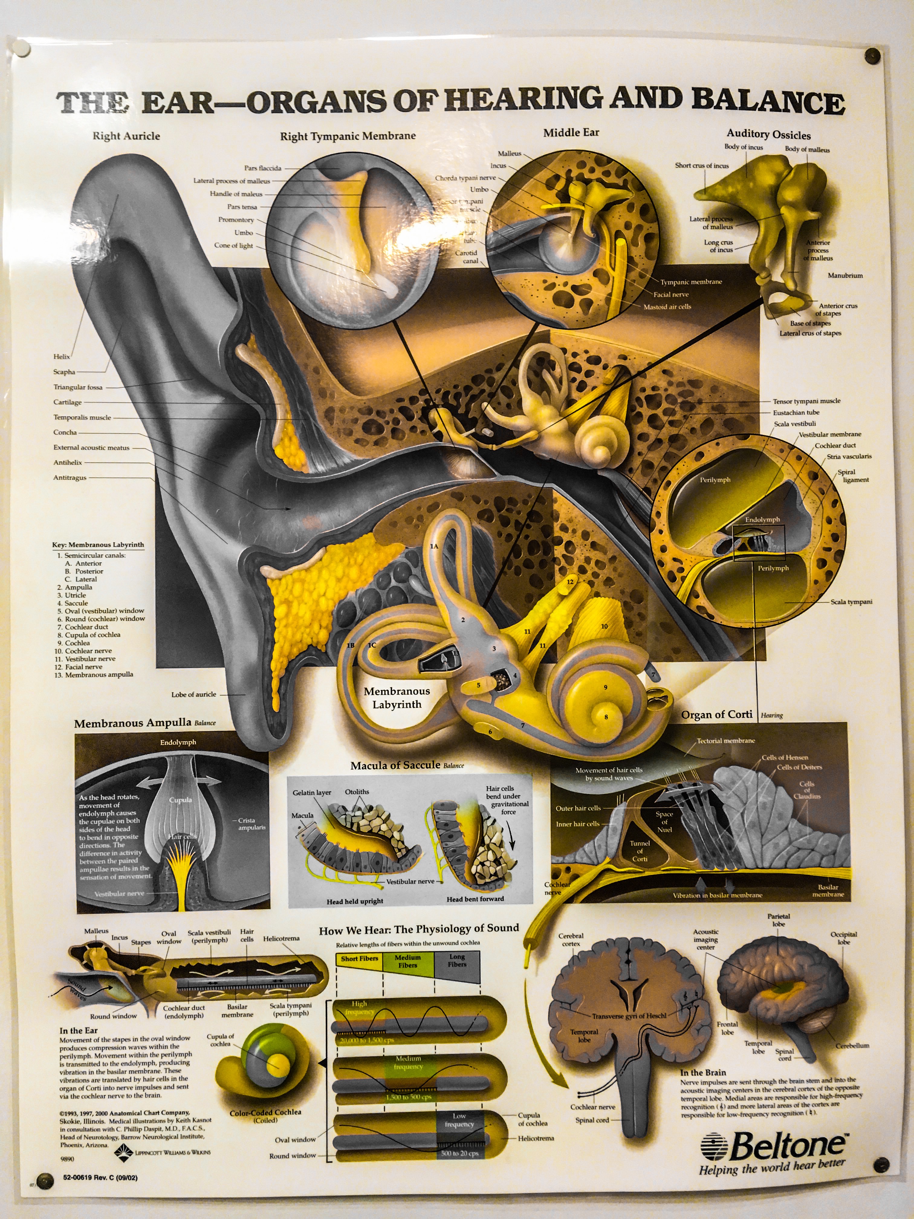 41ED3440-A48C-431A-97CC-B1D788196D8A 2